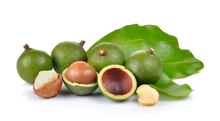 fresh macadamia nut on a white background
