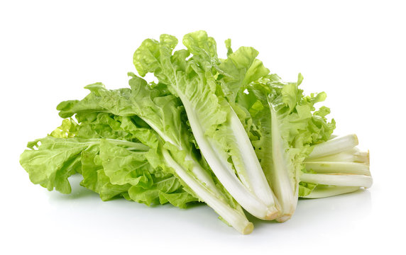 lettuce leaves isolated on white background
