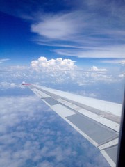Obraz premium flying on the sky
