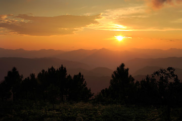 Landscpae of sunset at Pine forest, Thailand
