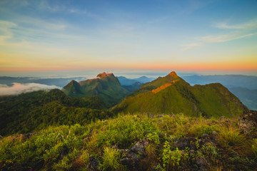 Obraz premium Summer landscape in the mountains