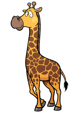 Vector illustration of giraffe cartoon