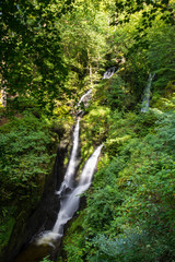 Stock Ghyll force waterfall at Ambleside in the Lake district.
