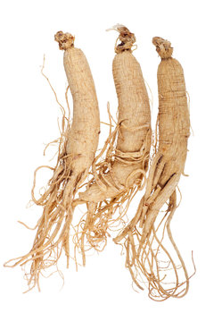 Dried Korean Ginseng; unsharpened file