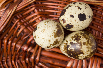 Quail eggs are organic