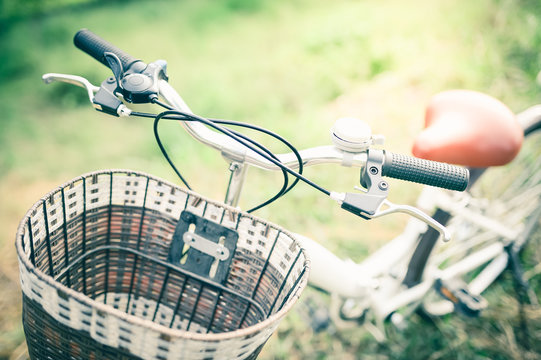 Vintage Bicycle with Summer grassfield