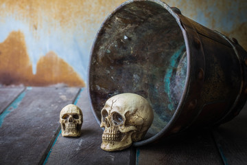 Skull in a bucket on wooden