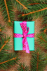 Wrapped gift for Christmas or other celebration and spruce branches