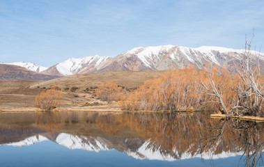 Reflection of trees in small mountain lake