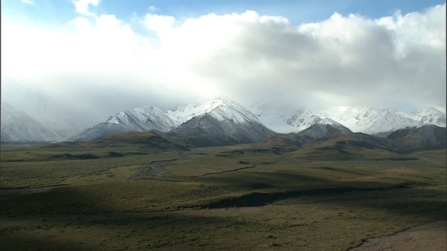 WS Denali foothills ZM in