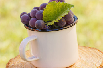 Grapes with leaf in metallic mug on wooden stump in garden on sunny day