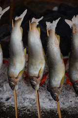 Ayu Japanese Grilled fish