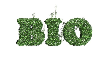 Bio - word from ivy plant - separated on white background