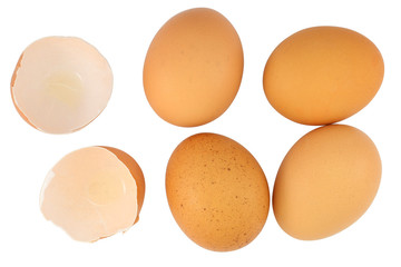Eggs Isolated on white background
