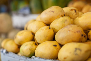 Mango fruit on asian market