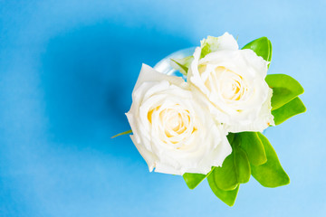 White rose in vase glass