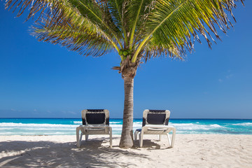 Two beach beds under palm tree on  beachfront