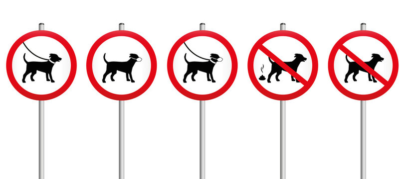 Mandatory signs concerning dogs - like dogs on leash, wearing muzzles, dog dirt, no dogs allowed. Isolated vector illustration on white background.