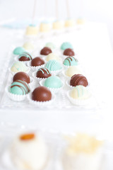 Variety of fruits covered with a color chocolate