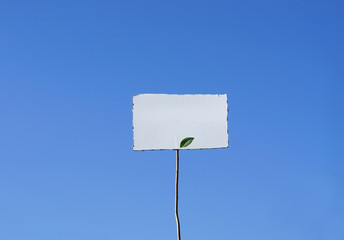 Leeres Pappschild am Stock mit Laubblatt vor blauem Himmel