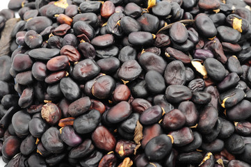 beans closeup