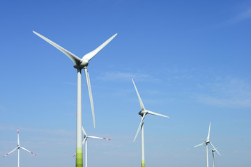 Fototapeta premium Windräder