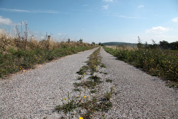 camino
