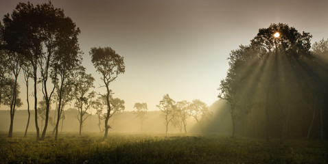 Foggy landscape in plains