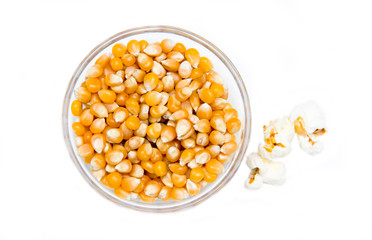 Maize grain dried with popcorn beside on a white background seen from above