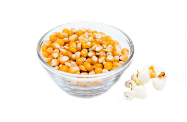 Maize grain dried with popcorn beside on a white background