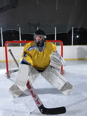 Naklejka premium ice hockey goalkeeper