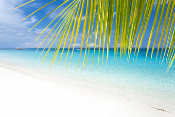 Tropisch landschap met turquoise zee en wit strand