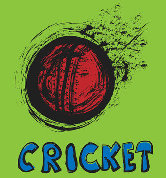 doodle cricket ball 