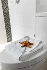 Starfish and towel on toilet 