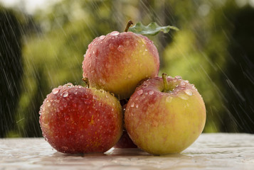 Dewdrops on the juicy fruits