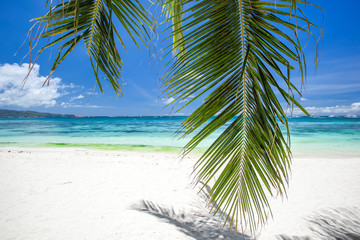 Tropical beach with coconut palm tree leafs, white sand and turq