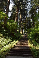Fototapeta premium 羽黒山の杉並木／山形県鶴岡市の羽黒山参道の杉並木は県指定史跡で、全国かおり風景100選、森林浴の森100選に選定されています。随神門から始まる表参道は、全長約1.7km、2446段の長い石段です。杉並木の数は500本以上で、樹齢350～500年の杉並木です。この杉並木は国の特別天然記念物に指定され「ミシュラン・グリーンガイド・ジャポン」にて、三ツ星を獲得しました。