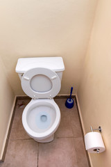 White toilet bowl and toilet paper