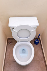 White toilet bowl and toilet paper