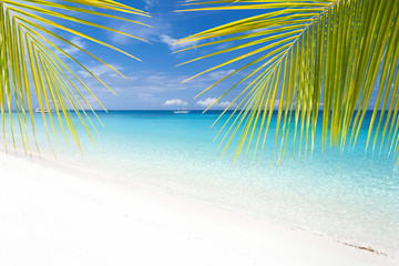Tropisch landschap met turquoise zee en wit strand