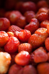 Fresh ripe strawberry