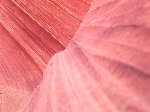 Selective-focus of ripples in the sandstone of The Wave at Coyote Buttes, Utah.