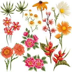 Foto op Plexiglas Set of flowers © hoverfly