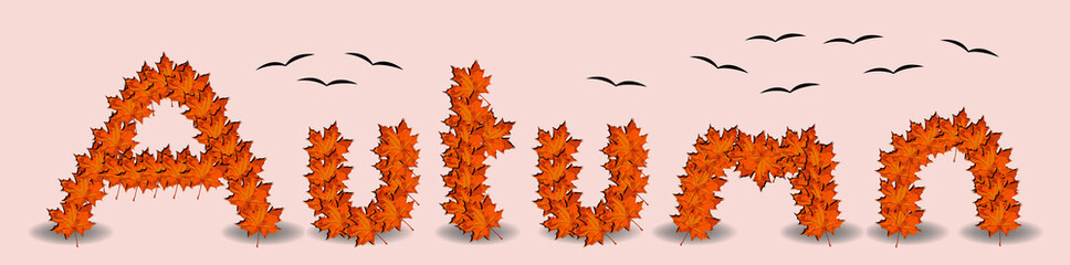 Autumn with maple leaves and migrating birds vector