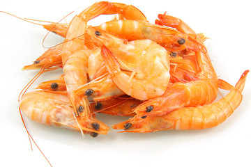 crevettes 19092015