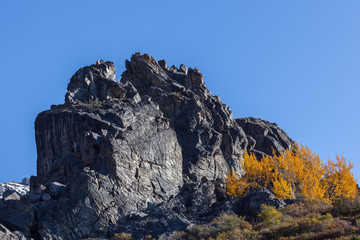 Rock and yellow leaf in Denali National Park with mountain in background, Alaska