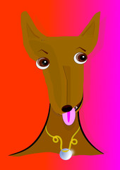 Perro con chapa identificativa