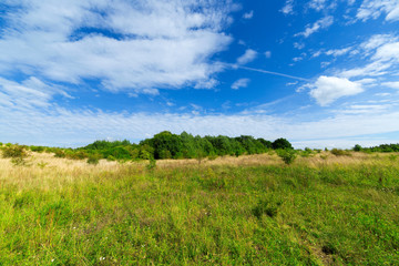 Summer meadows rural landscape