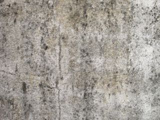 Obraz na płótnie Canvas Moldy wall
