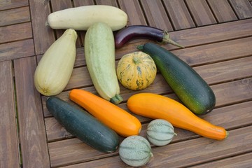 Cucurbitacées sur un plancher